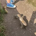 Дом отдыха Pri Jaskyni Быстра