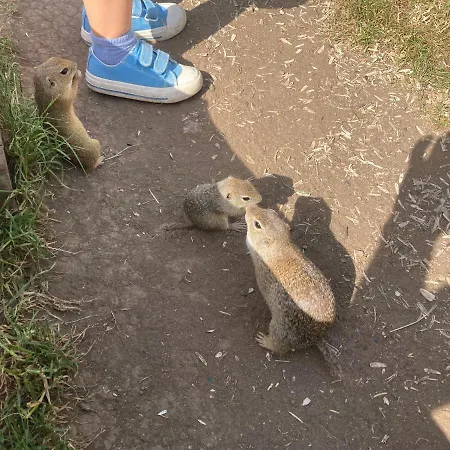 Semesterbostad Pri Jaskyni Bystrá